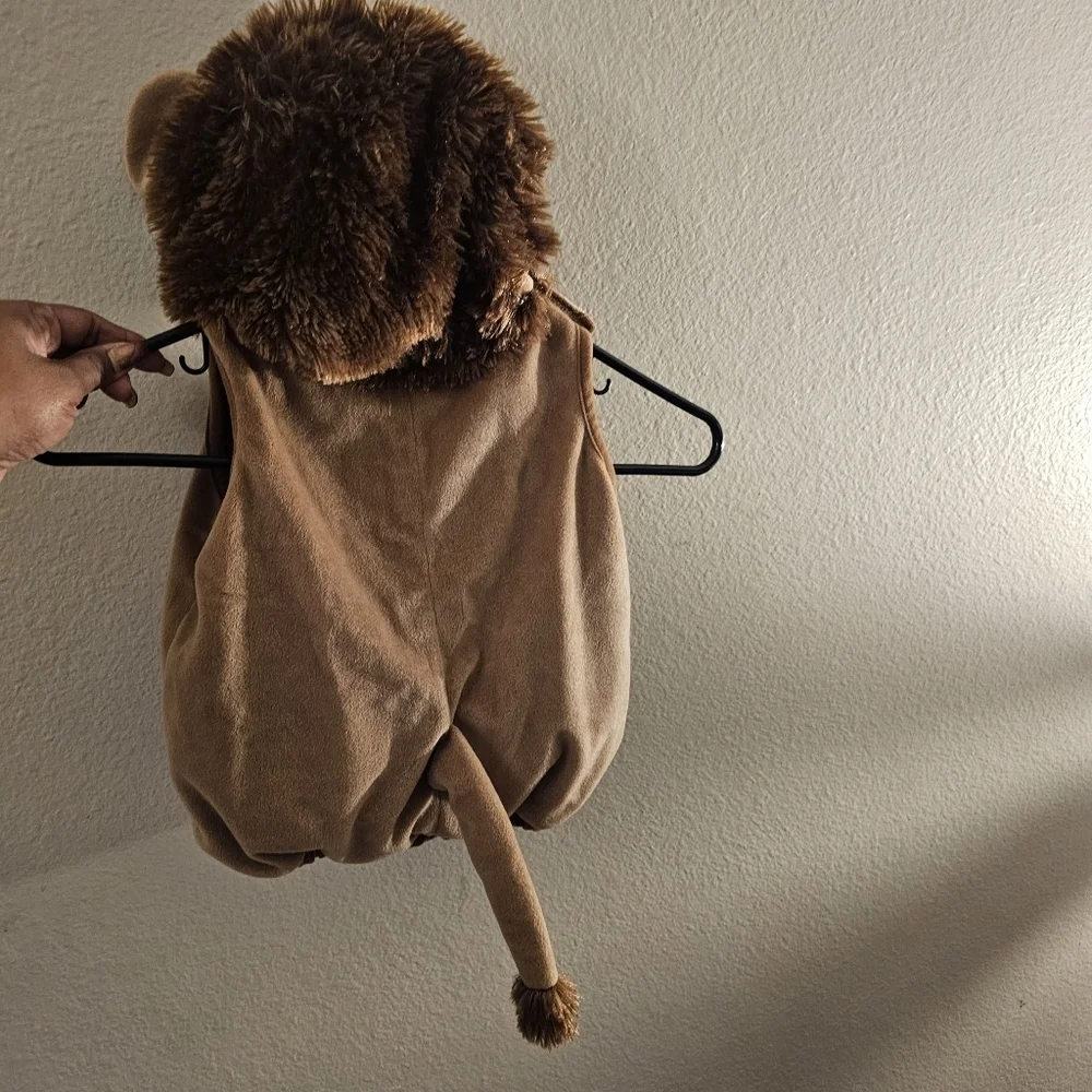 Adorable Lion Costume for Kids